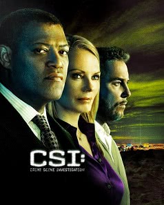 C.S.I. Место преступления (9 сезон)