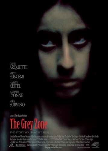 Серая зона (фильм 2001)
