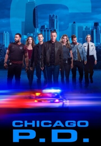 Полиция Чикаго (сериал 1 сезон)