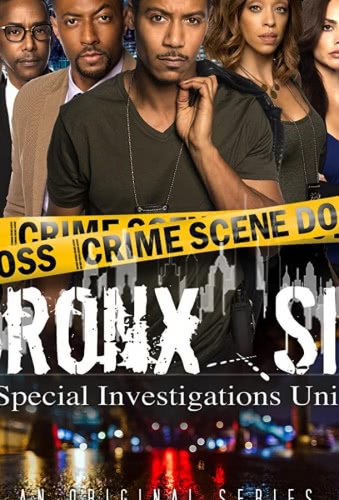 Бронкс: отдел спецрасследований (1 сезон) смотреть онлайн