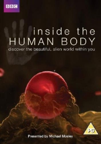 Внутри человеческого тела (2011) смотреть онлайн