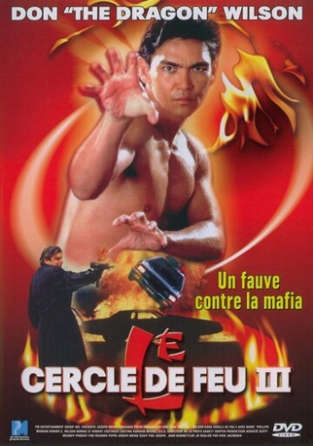 Огненное кольцо 3: Удар льва (фильм 1994) смотреть онлайн